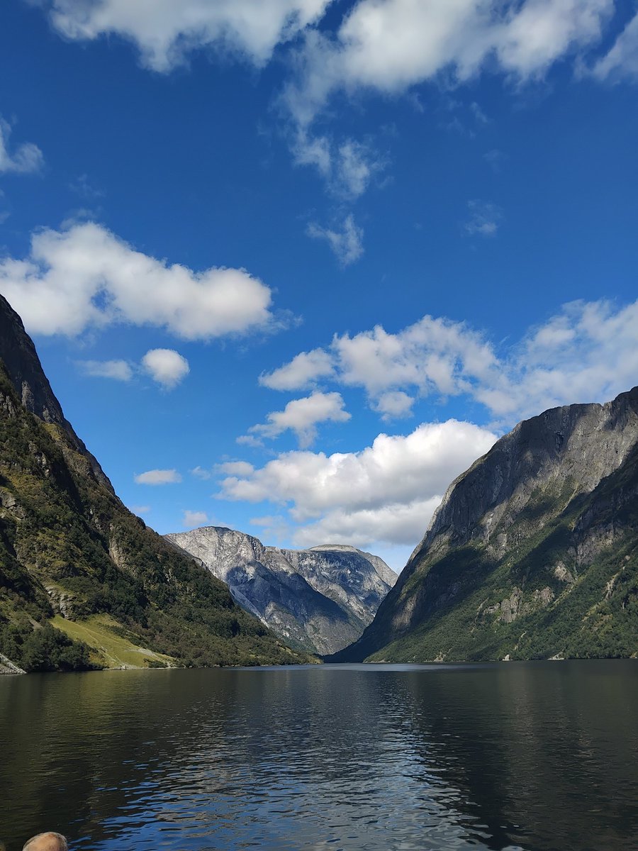 LordFinn - Yannick tweet media