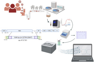High throughput method for monitoring SARS-CoV-2 variants in wastewater by Nanopore sequencing dlvr.it/TMcMVl
