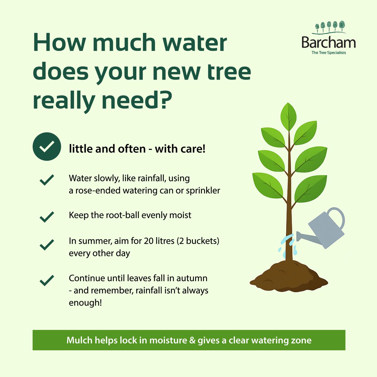Barchamtrees's tweet image. Newly planted tree? Don’t let it dry out!
✅ Water slow &amp;amp; steady
✅ Cover the full root-ball
✅ Summer: 20L every other day

Mulch helps retain moisture 🌱
Hydration bags = hassle-free watering: bit.ly/3c2nT6s
#TreeCare #TreeWatering