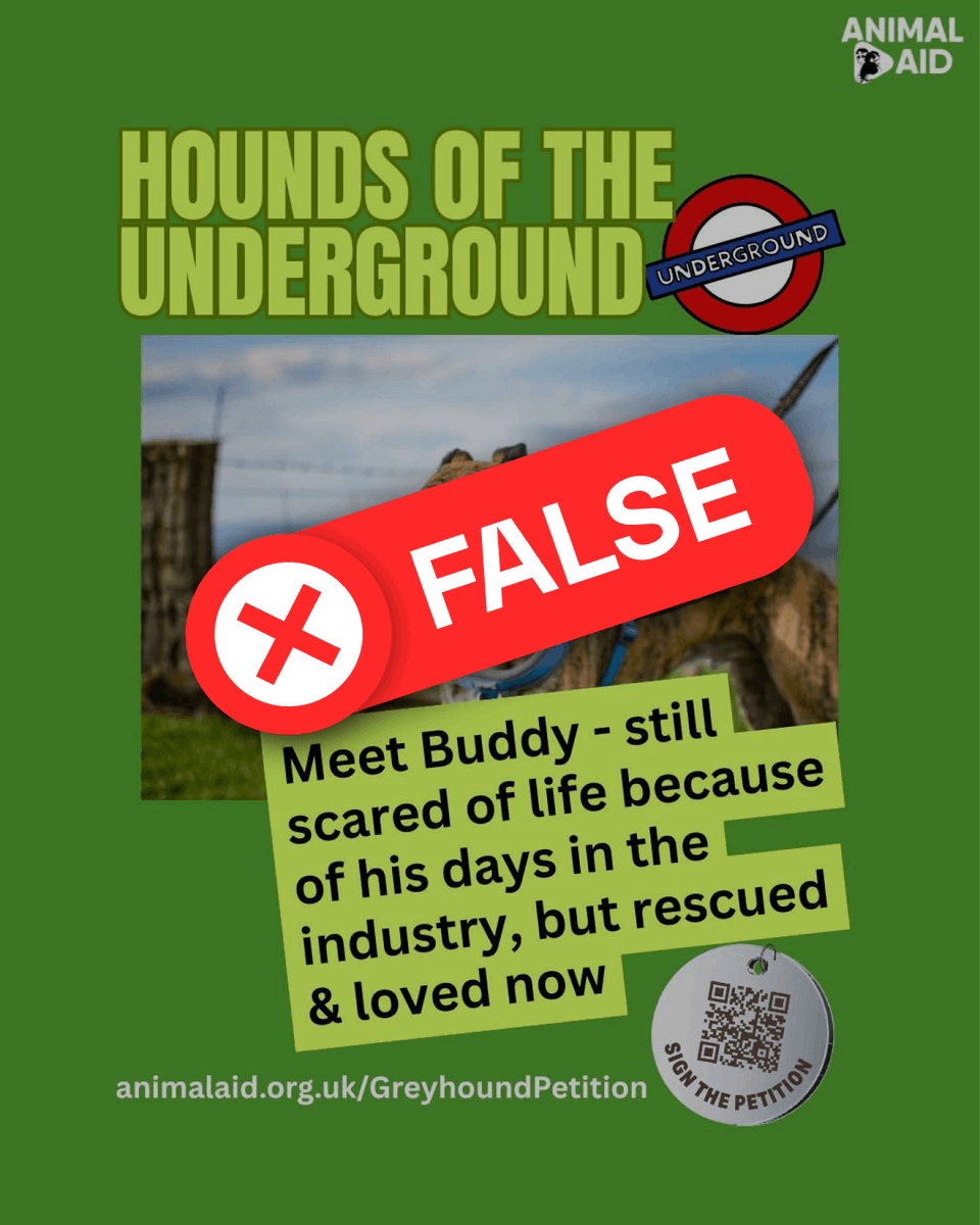 Towcester Racecourse Greyhounds tweet media