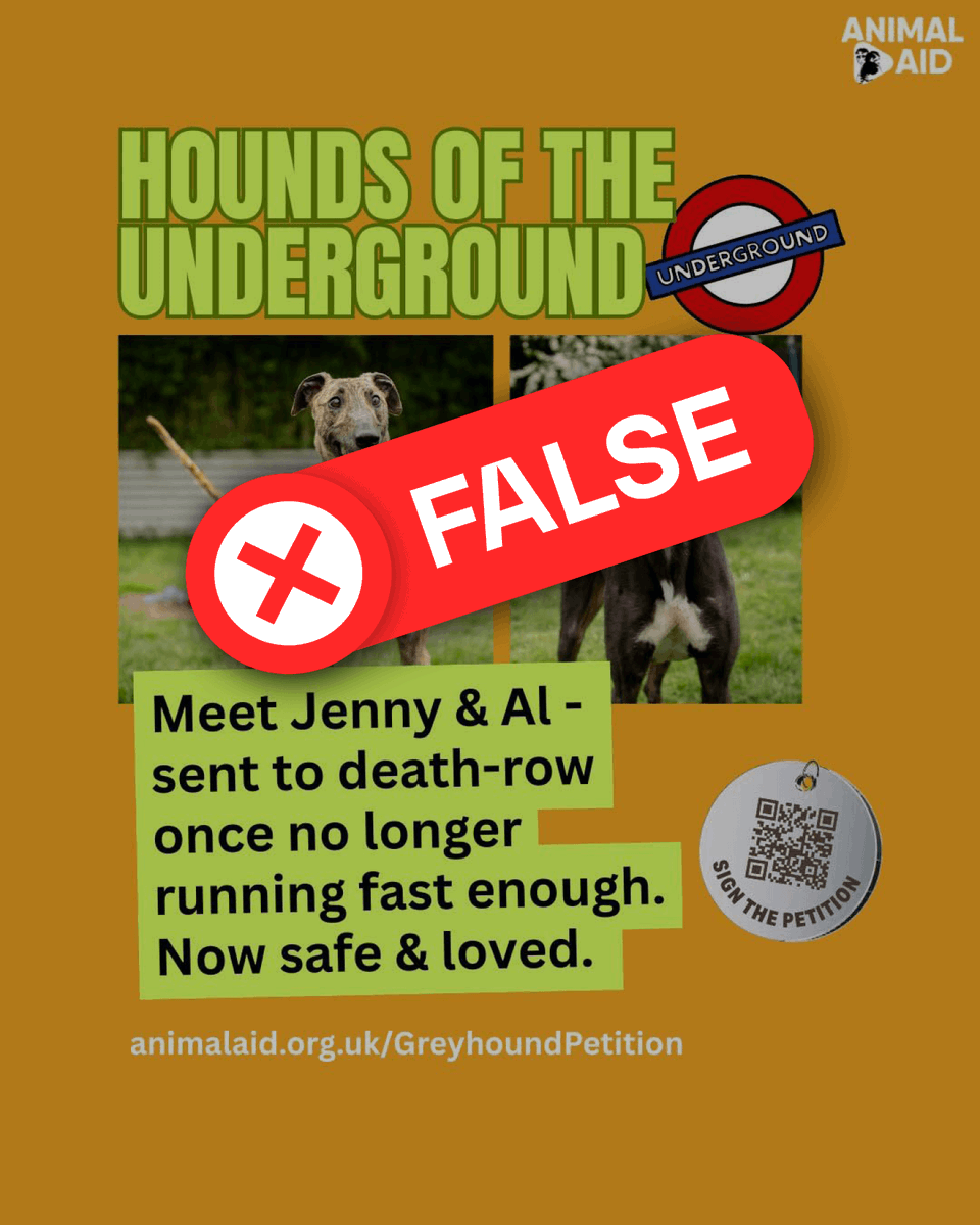 Towcester Racecourse Greyhounds tweet media