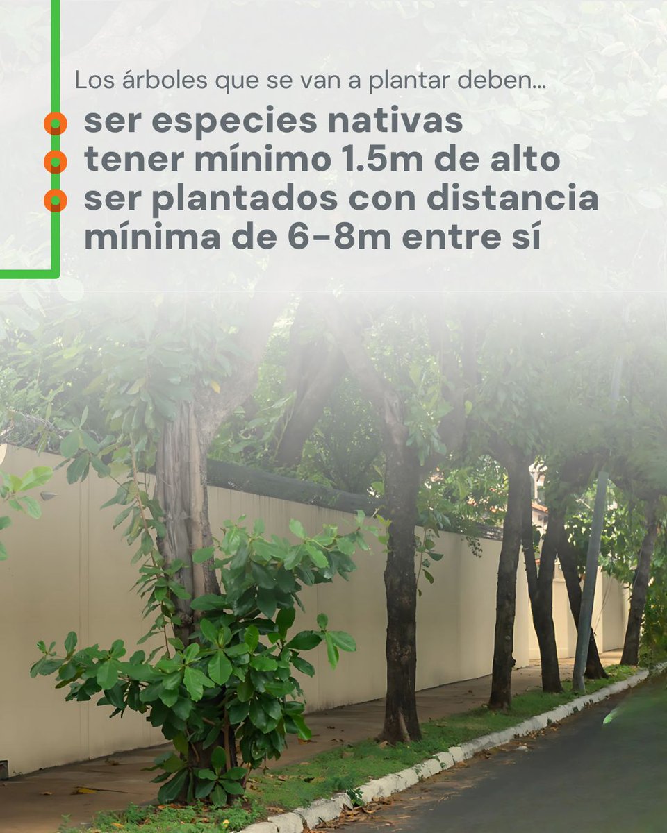 Con el Manual de Arborización de Veredas podemos lograr una Asunción más verde, fresca y ordenada 🌳

📌 Hay medidas, especies recomendadas y distancias que hacen que crezca sano y no dañe la vereda ni los cables.