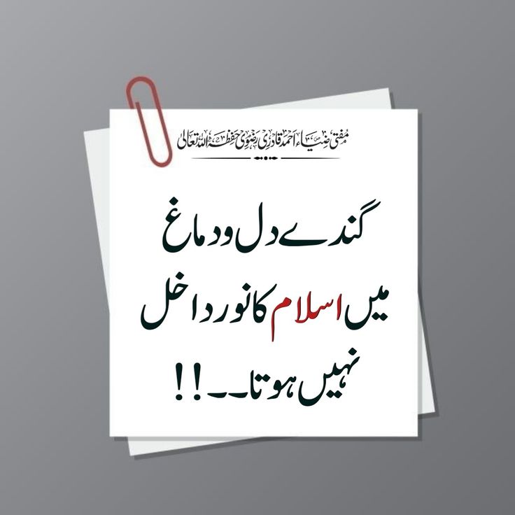 فائزہ (@fk_faizakhanm) on Twitter photo Our culture is sacred. Don’t let vulgarity taint it! #ملک_میں_فحاشیات_نامنظور <a href="/LegacyLeavers_/">Team Legacy leavers</a> Our culture is sacred. Don’t let vulgarity taint it! #ملک_میں_فحاشیات_نامنظور <a href="/LegacyLeavers_/">Team Legacy leavers</a>