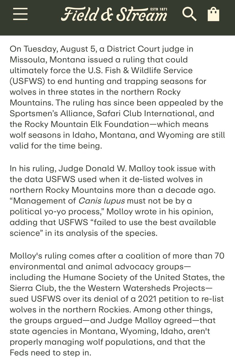 _Travis_Hall's tweet photo. Wolves are back in the news. Link to full article below. https://t.co/S9ODAxNhqV