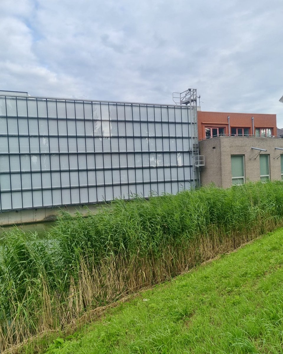 Klaar voor het nieuwe schooljaar! 🤓📚 In opdracht van Allicon hebben we de rolgevelinstallatie van basisschool De Westwijzer gerenoveerd 🙌 De buismotoren en het zonnedoek zijn vervangen, met als resultaat een aangenaam binnenklimaat en een strakke uitstraling ☀ #backtoschool