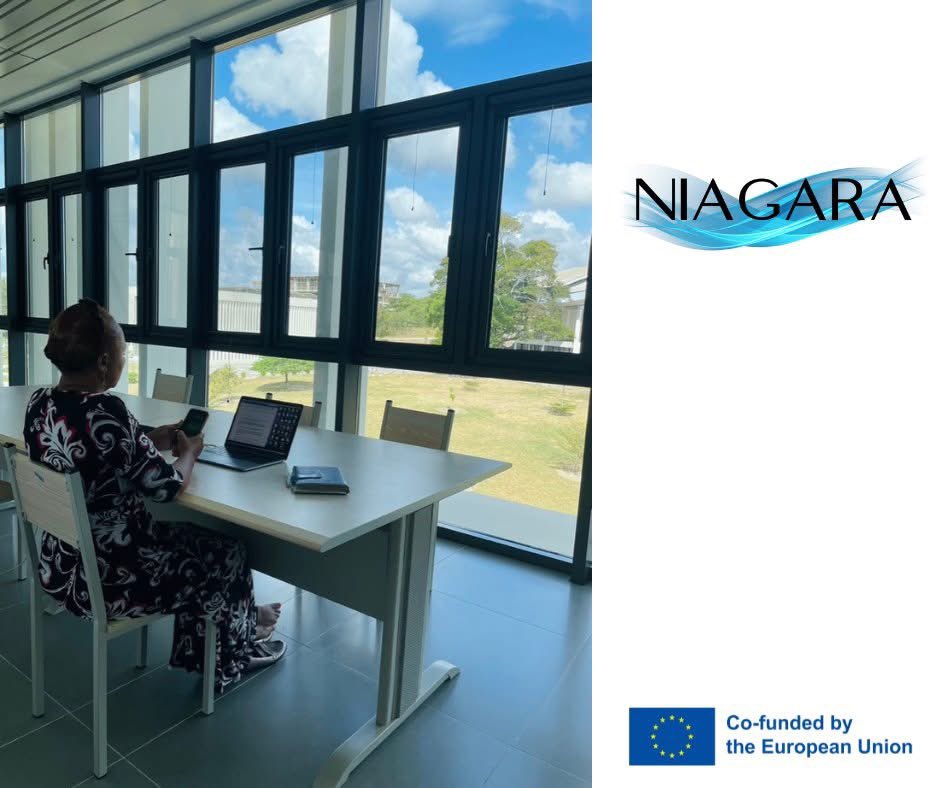 NIAGARAgrant's tweet photo. Systematic approach to searching - Part 1 by #NIAGARAgrant: 

Are you a librarian or LIS student looking to strengthen your searching skills? This 4-hour course introduces you to a systematic approach to searching. 

Details in the comment 👇🏻 https://t.co/UvPkgWoT4e