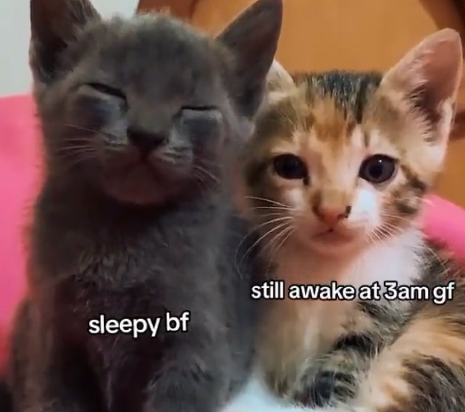 dotori.. (@jooyzznoo) on Twitter photo 