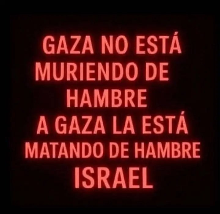 MryRodrguez4's tweet photo. Hay un detallito que están pasando por alto... https://t.co/9G6Hysnlvs