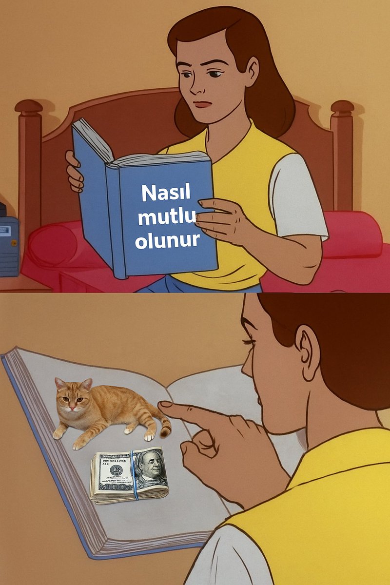 Kedilikler (@kedilikler) on Twitter photo 