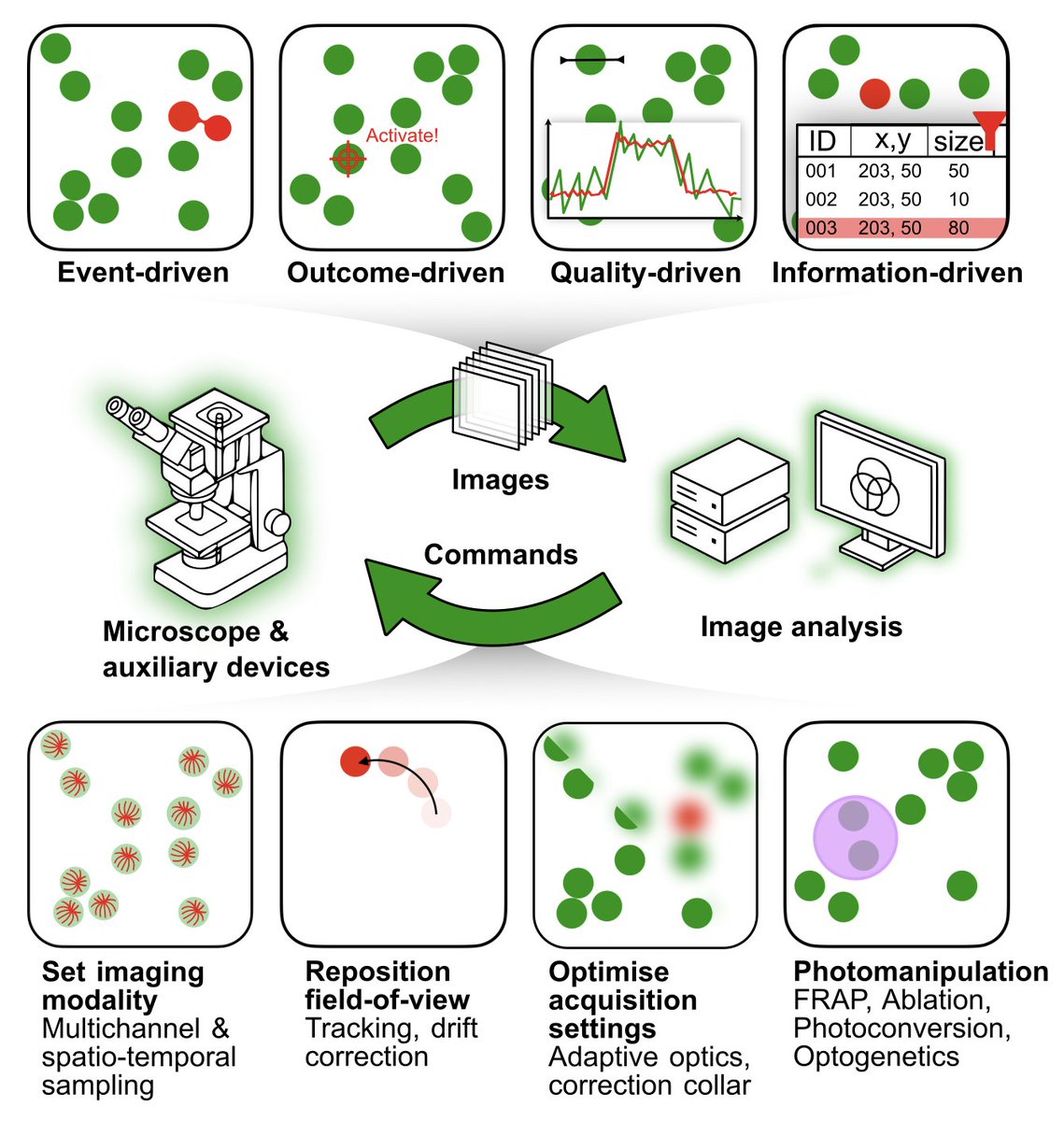lhinderling's tweet image. 🔬🧠 Our paper on smart microscopy &amp;amp; the issue of interoperability! biorxiv.org/content/10.110… LONG THREAD WARNING: Smart microscopy uses real-time image analysis to automatically guide the acquisition or perturbation (closed feedback-control loop). Many applications exist: