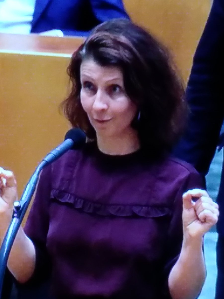 LenieVanAnsem's tweet photo. Er zijn er weer een paar in de #2dekamer vandaag de scheldkarbonade is weer begonnen
8 weken #reses
Nu al hun #frustratie spuien.
#gazadebat https://t.co/xNpaq5H4Uk