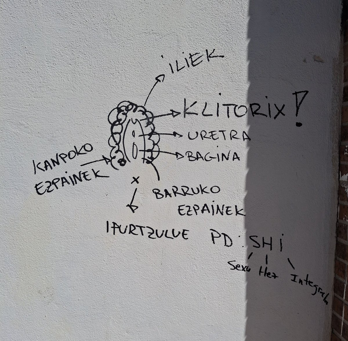 Azpeitiko hormetan  
( eta kontenedoretan) era guztietako pintadak ditugu.
Dibulgatiboak orain arte ez nituen ikusi.
Rotulagailuz eginda dago baina ez dakit egilea identifikatu duten.