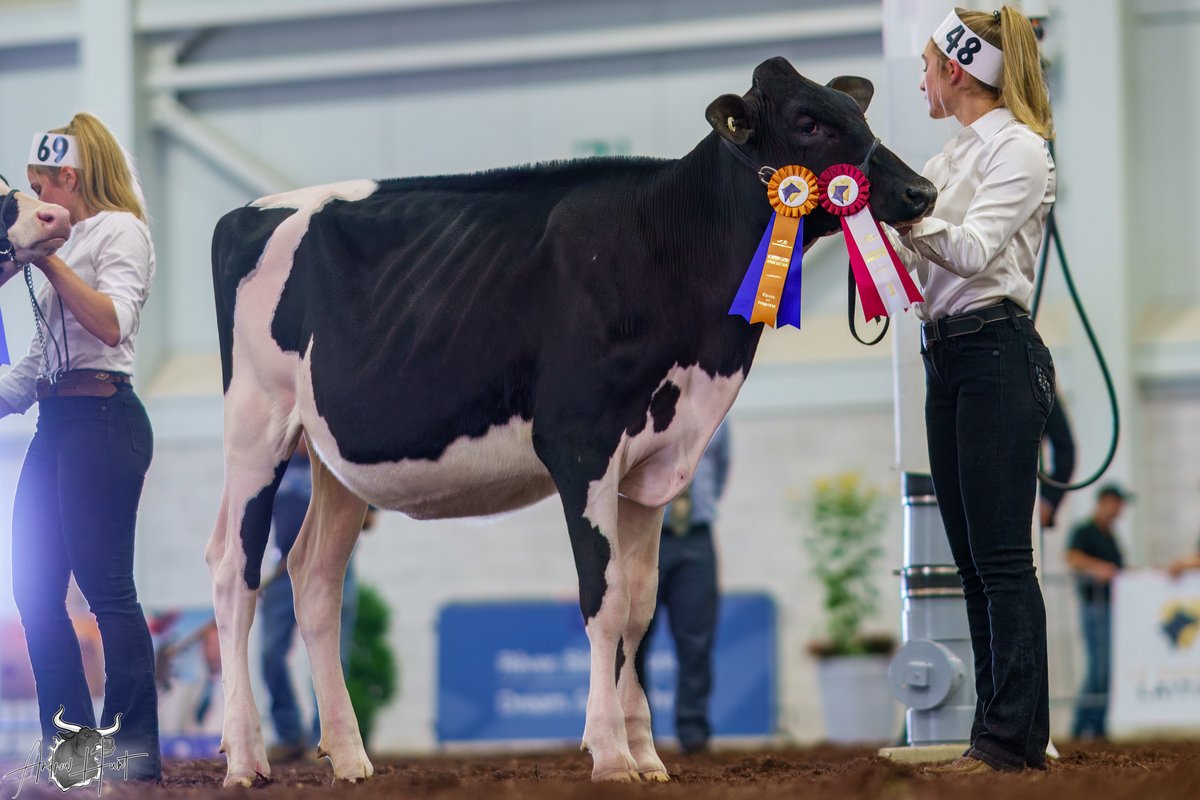 DUHIBOU LAMBDA RUNNING
1st place Winter Calf
Le Supreme Laitier Holstein Show 2025
FERME DUHIBOU INC, ST. LAMBERT DE LAUZON, QC

See complete coverage at bit.ly/460tq9p