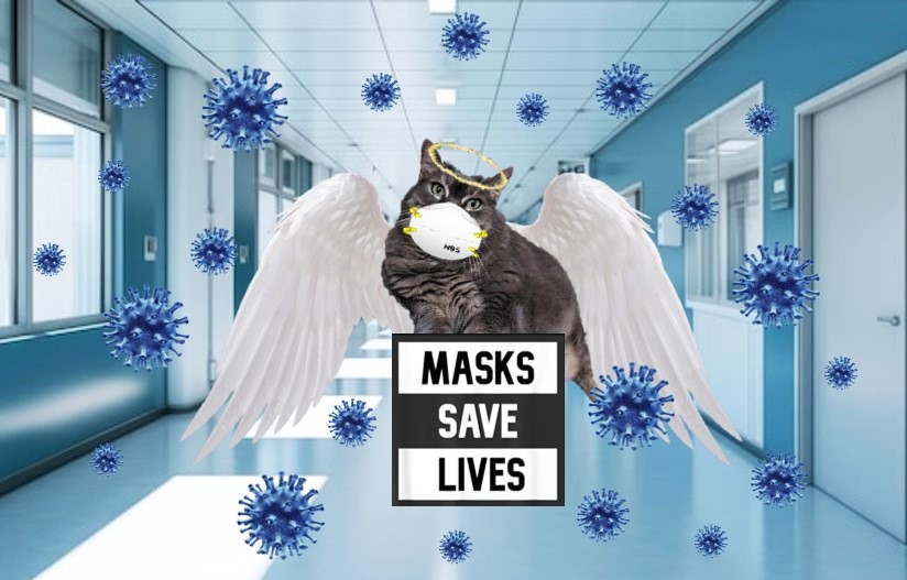 ampincivero's tweet image. Masks save lives! N95 masks should be MANDATED in all healthcare settings! ❤️😷🫂 #MasksSaveLives #WearAMask #N95 #DoNoHarm #SARS2 #LongCovid #MassDisabling #OrganDamage #ImmuneDysregulation #AcceleratedAging #CovidisntOver #CovidisAirborne