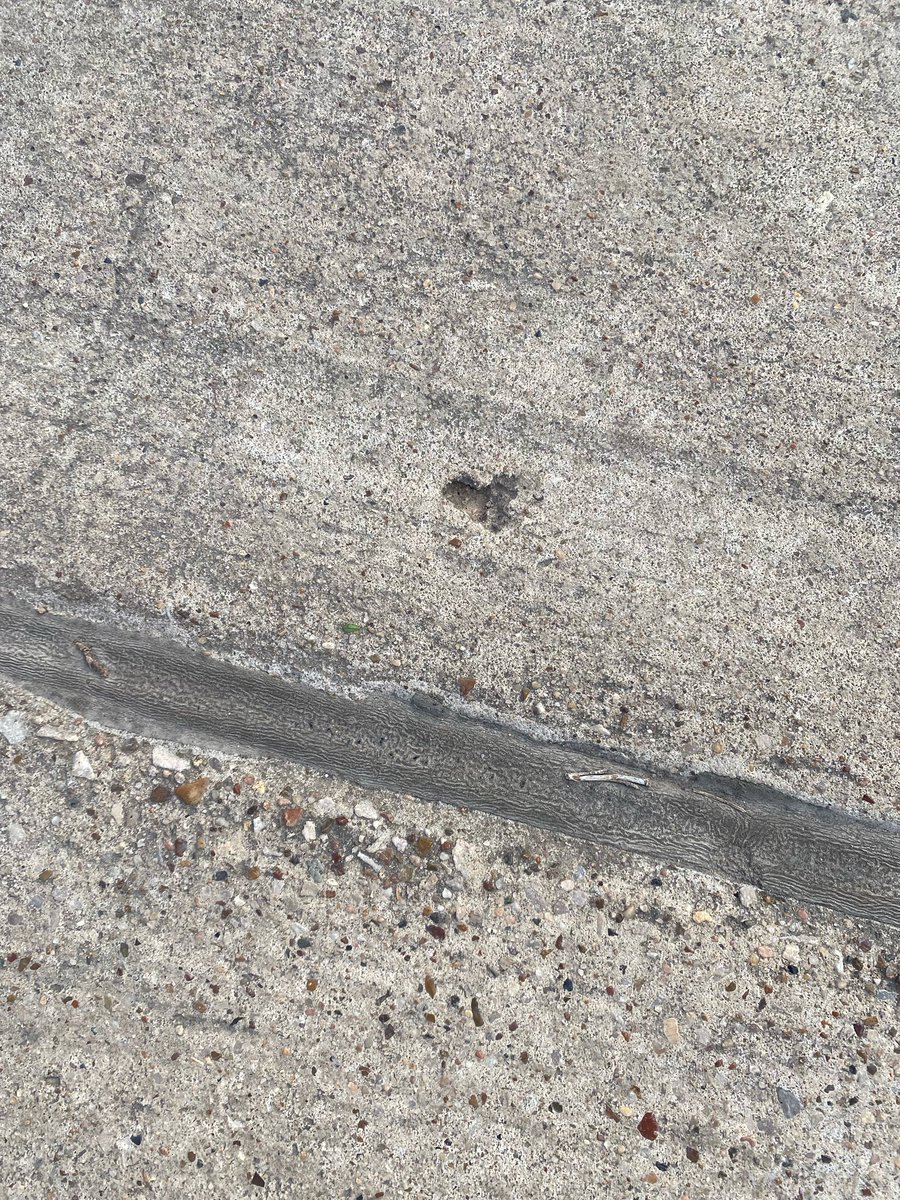 another day of noticing 🖤