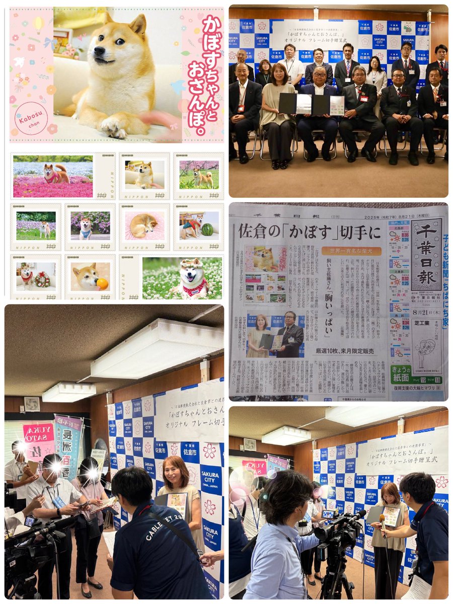 かぼすママ tweet media