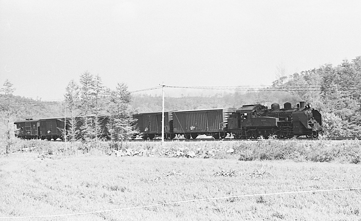 釧網本線・標津線・標茶にて（1973. 07. 30）：駅を出て20分程磯分内側へ歩くと、すぐに如何にも北海道という揺ったりとした景色になります。この区間は標津線も乗り入れているので、複線化しています。C11134号機牽引の標津線貨物列車が通過しました。