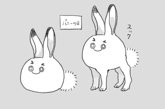 バニ毛 