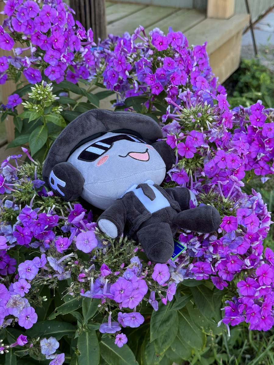 Makeship tweet media