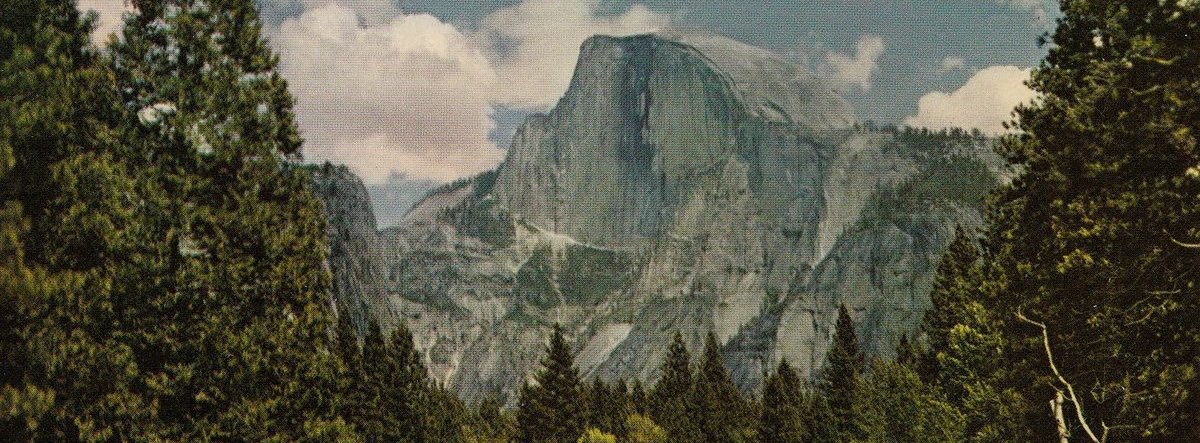 rue ⋆౨ৎ ⋆ tweet media