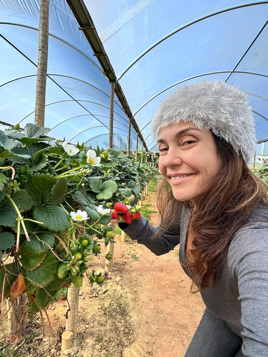 O morango do amor está diferente 🍓  minhas favs frutíferas ❤️