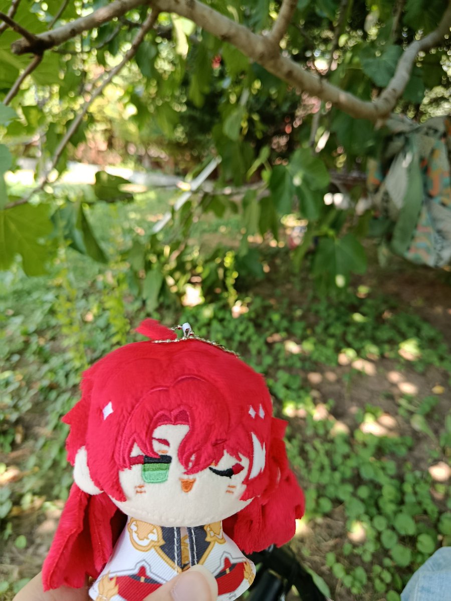 — Mini Argenti has found a garden... There's fruits and lots of small animals!