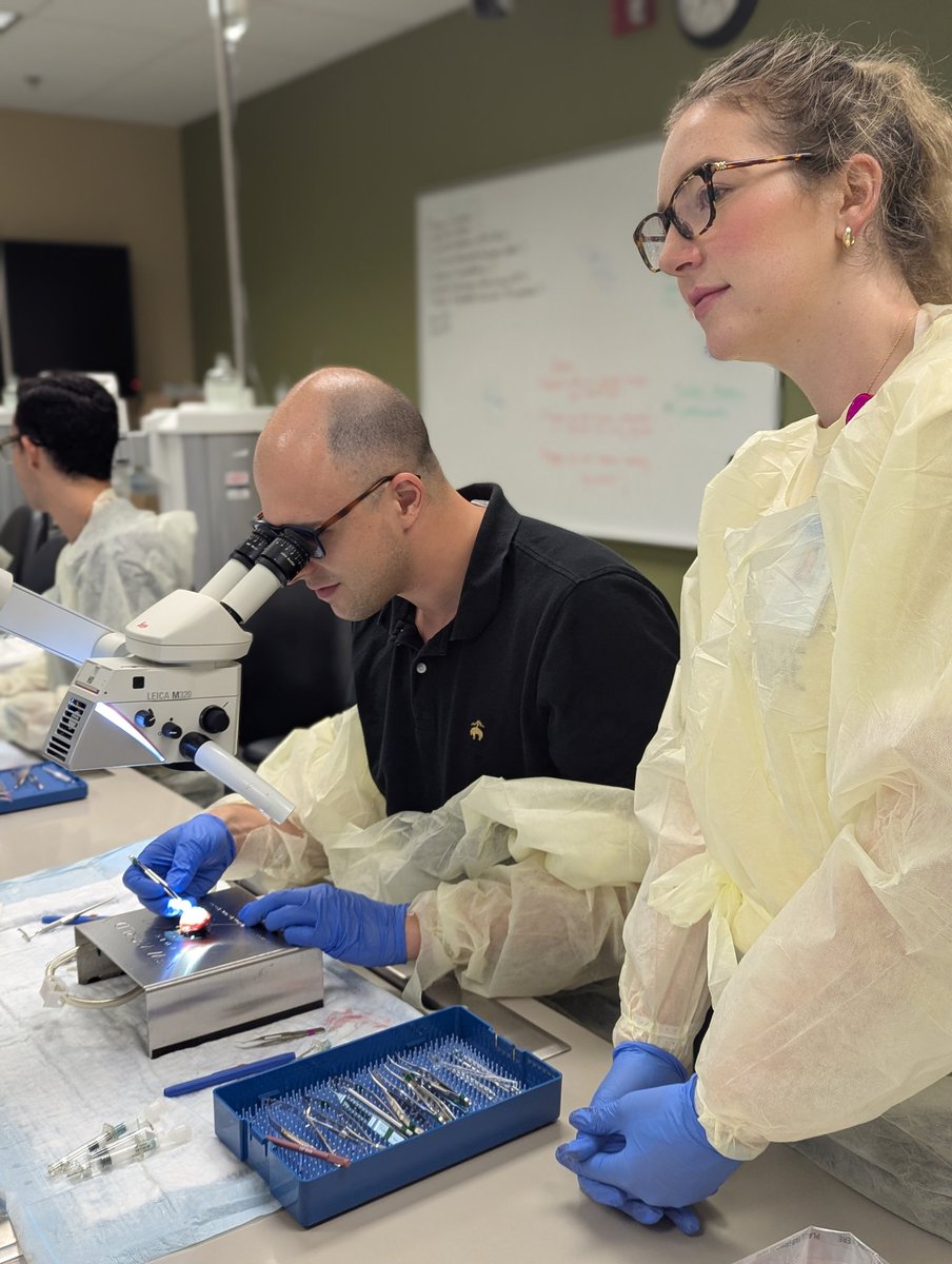 Crystal Lincoln tweet media