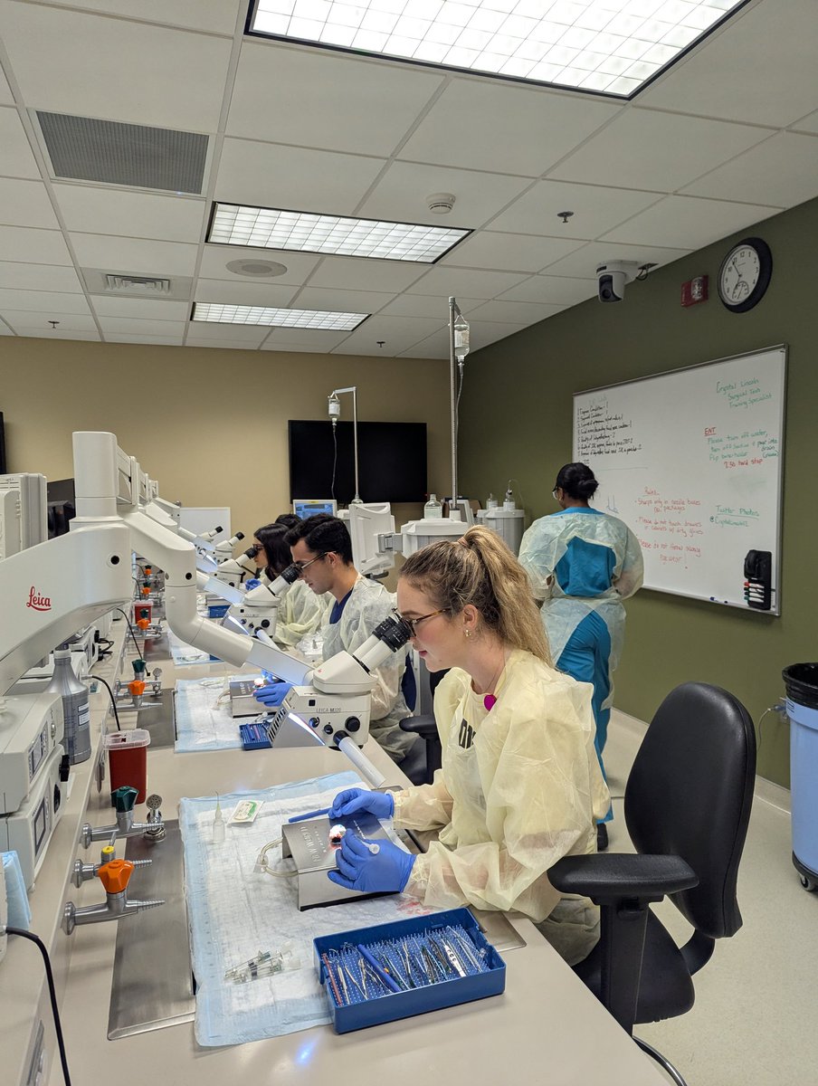 Crystal Lincoln tweet media