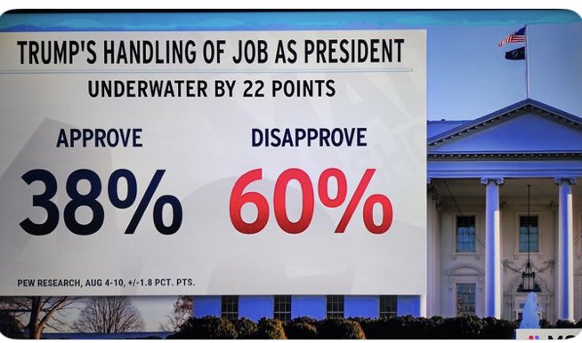 A 38% approval rating proves that Trump is still polling well with American  paedophiles.