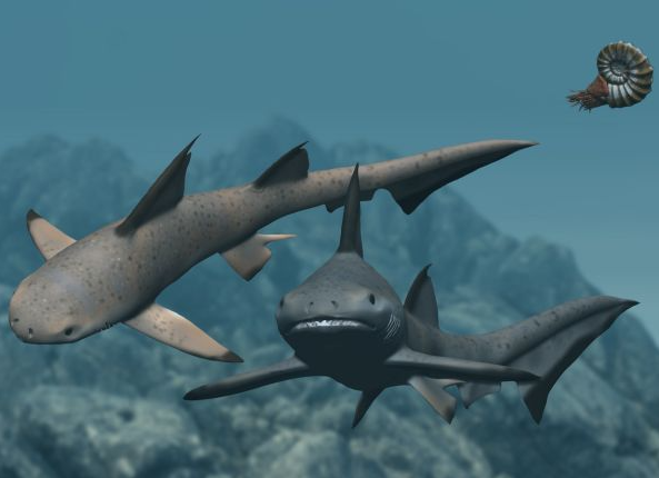 PaleontologieFr's tweet image. Des #fossiles de #requins🦈 #hybodontes du Sud de la France🇫🇷 montrent qu'ils survivaient encore dans quelques rivières et lagunes d’Europe il y a ~80 Ma. Dispersés, ils étaient déjà rares juste avant leur extinction à la fin du #Crétacé.
#Hybodontidae

📰doi.org/10.1016/j.cret…