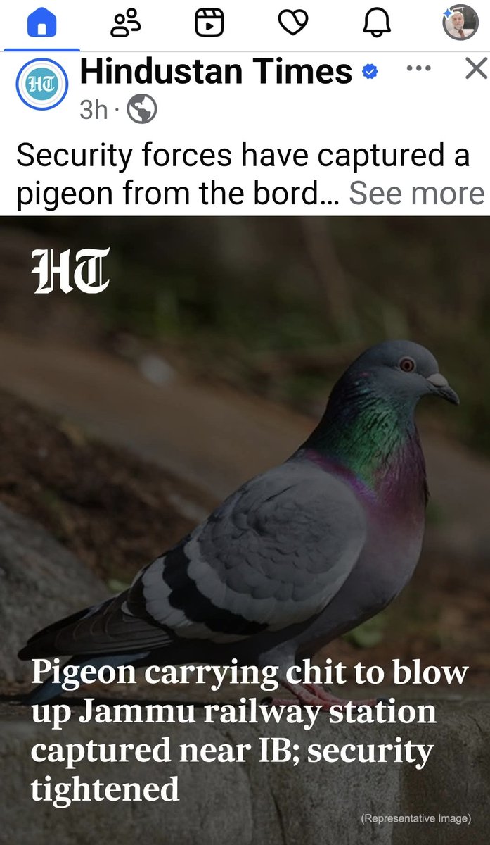 The pigeon — a universal symbol of peace — is now under the terror attack of Hindustan Times. #JammuAndKashmir #JammuKashmir #Jammu #Kashmir #India #Pakistan #BiharElections2025