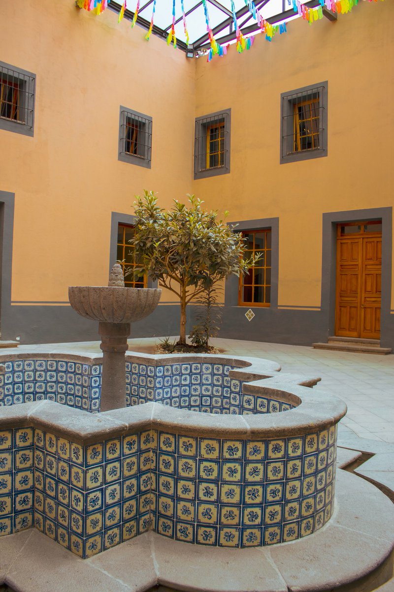 ¡Que hoy sea un día increíble! Mucho éxito en cada una de sus actividades, #FelizJueves 🙏🏼