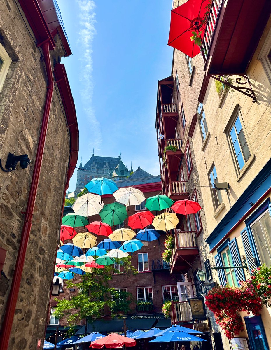 NickMan🇨🇦🏴‍☠️ tweet media