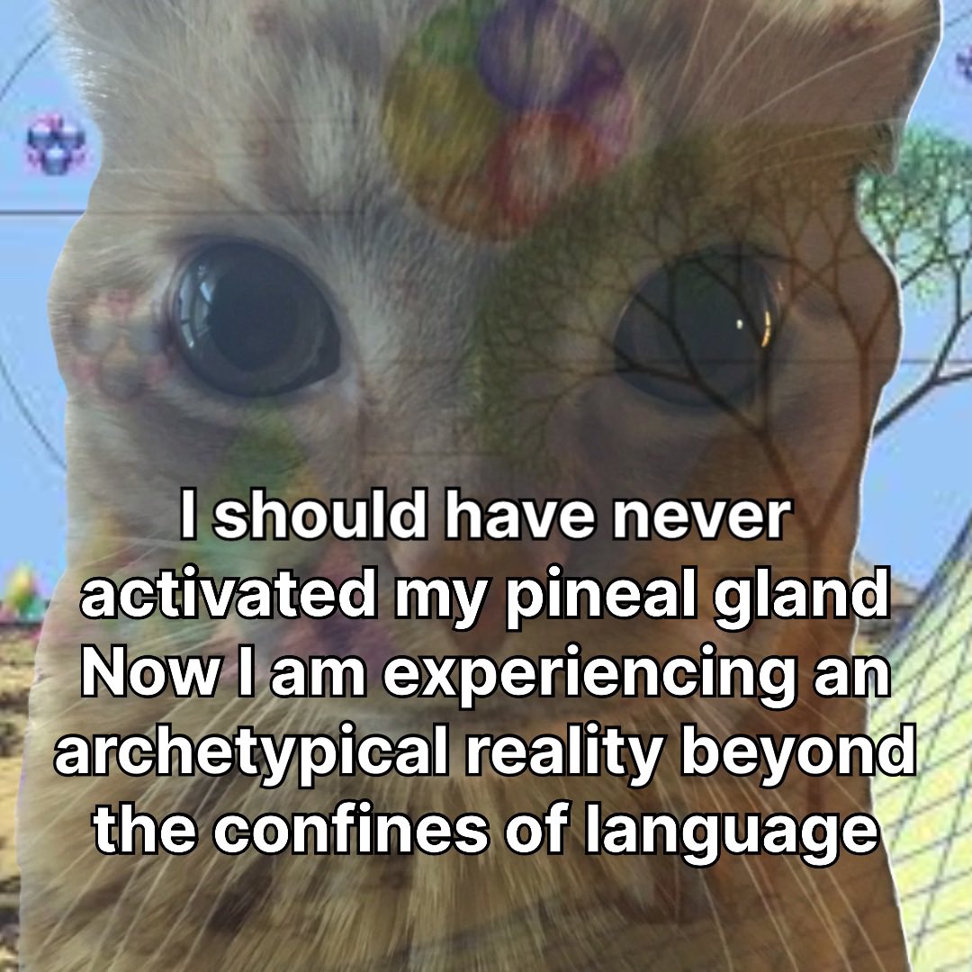 Honestly I’m just scared most of the time $gak