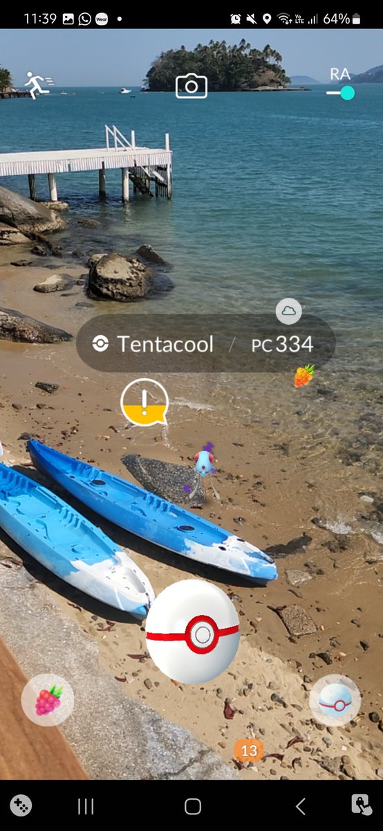 A wild shadow tentacool has appear!