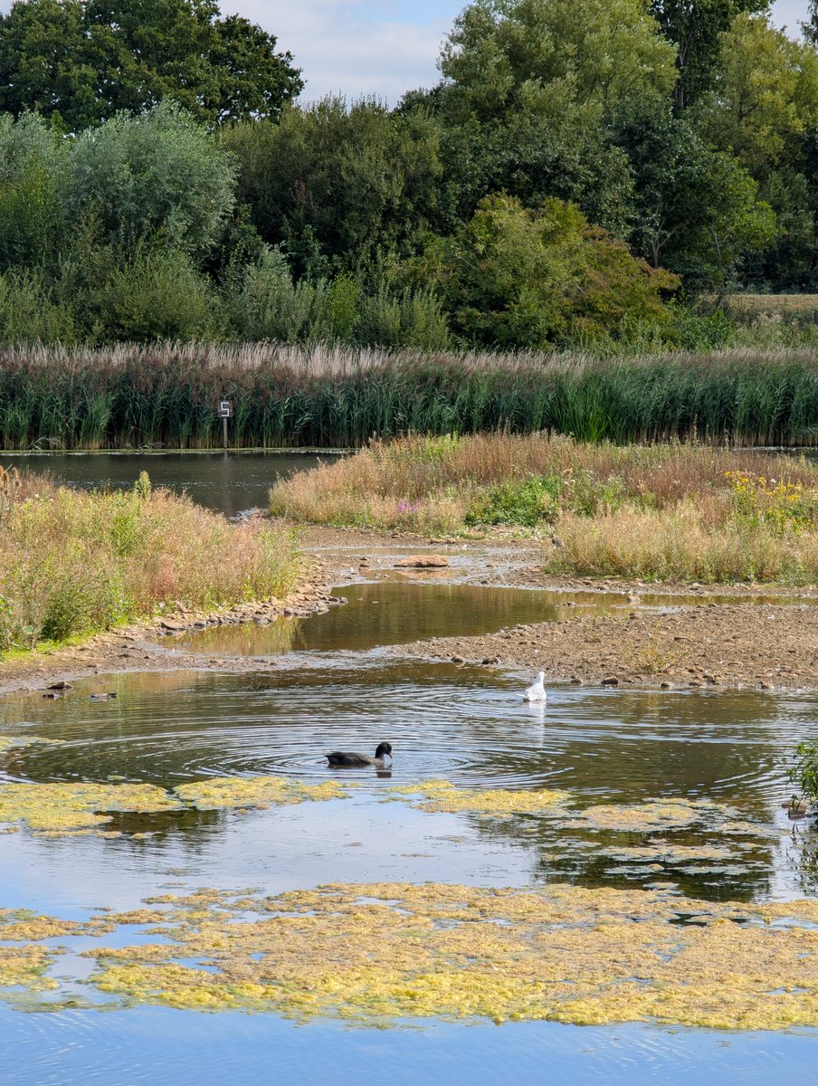 It's turned out to be a gloriously sunny afternoon ☀️🌤💚