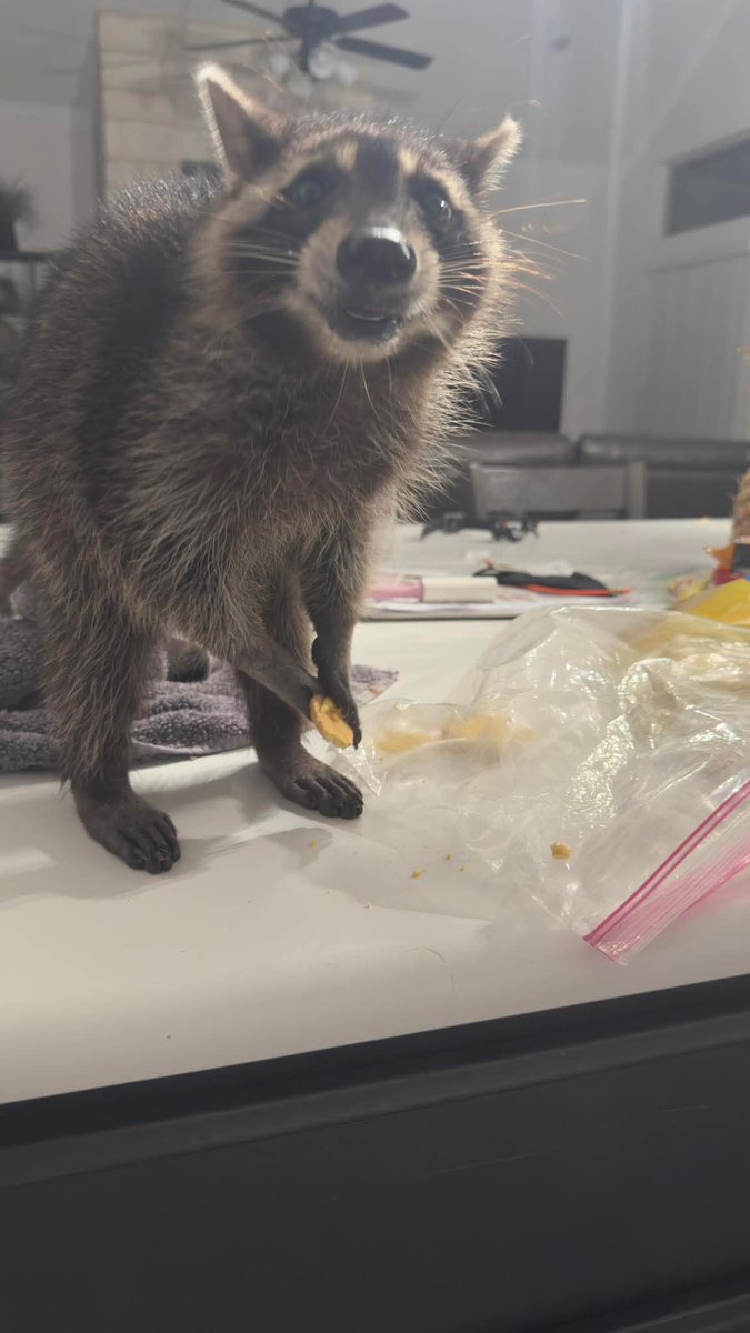 Andrexion tweet media