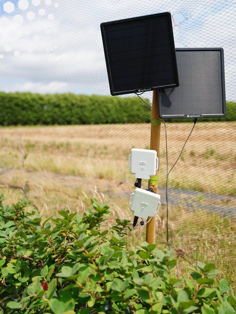 AgriSoundTech's tweet photo. ๐ Pollination data, validated โ
With NIAB, we matched Pollyโข sensor data to manual species counts in the field.
๐ Accurate
๐ก Continuous
๐ฑ Ideal for breeding & precision pollination projects
#AgriTech #PollinationMatters #SmartFarming #AgriSound https://t.co/nL2qD1kRuq
