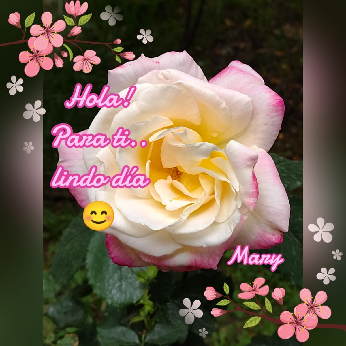 💜Mary💜 tweet media