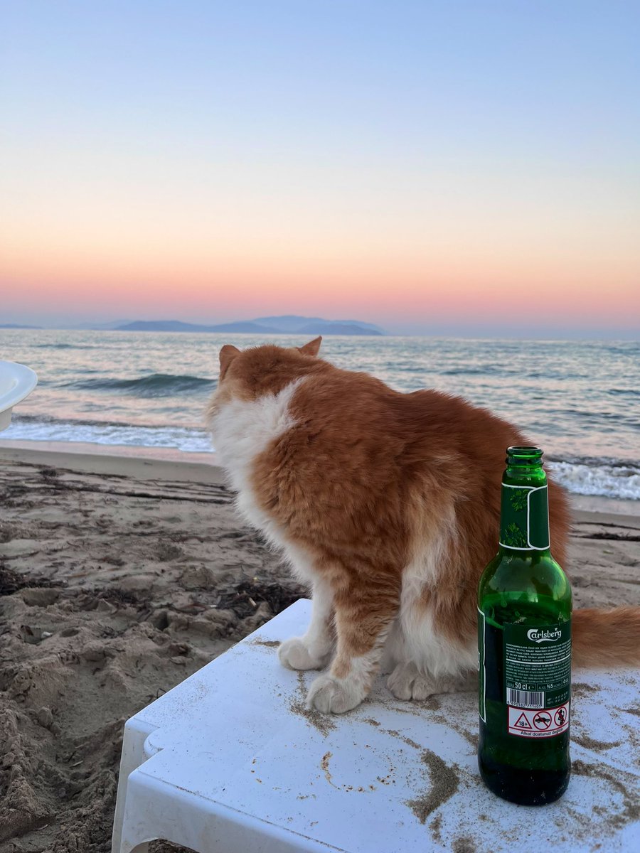 Ness (@uyguneslihan) on Twitter photo 