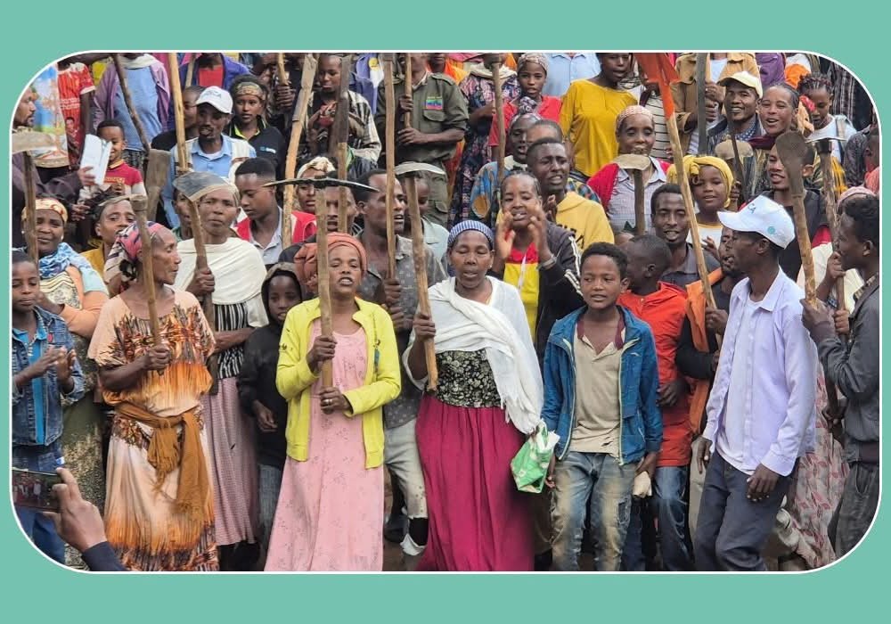 Community-led green growth in action
Our #KOICA supported project in #Ethiopia mobilized communities to plant 469,000+ seedlings this season. As #ACS2 approaches, our work highlights an African-led solution to climate change.
Read more:  gggi.org/gggi-ethiopia-…
#ACS2 #GGGIatACS2