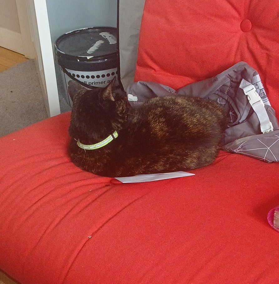 Good news everyone she's forgiven me