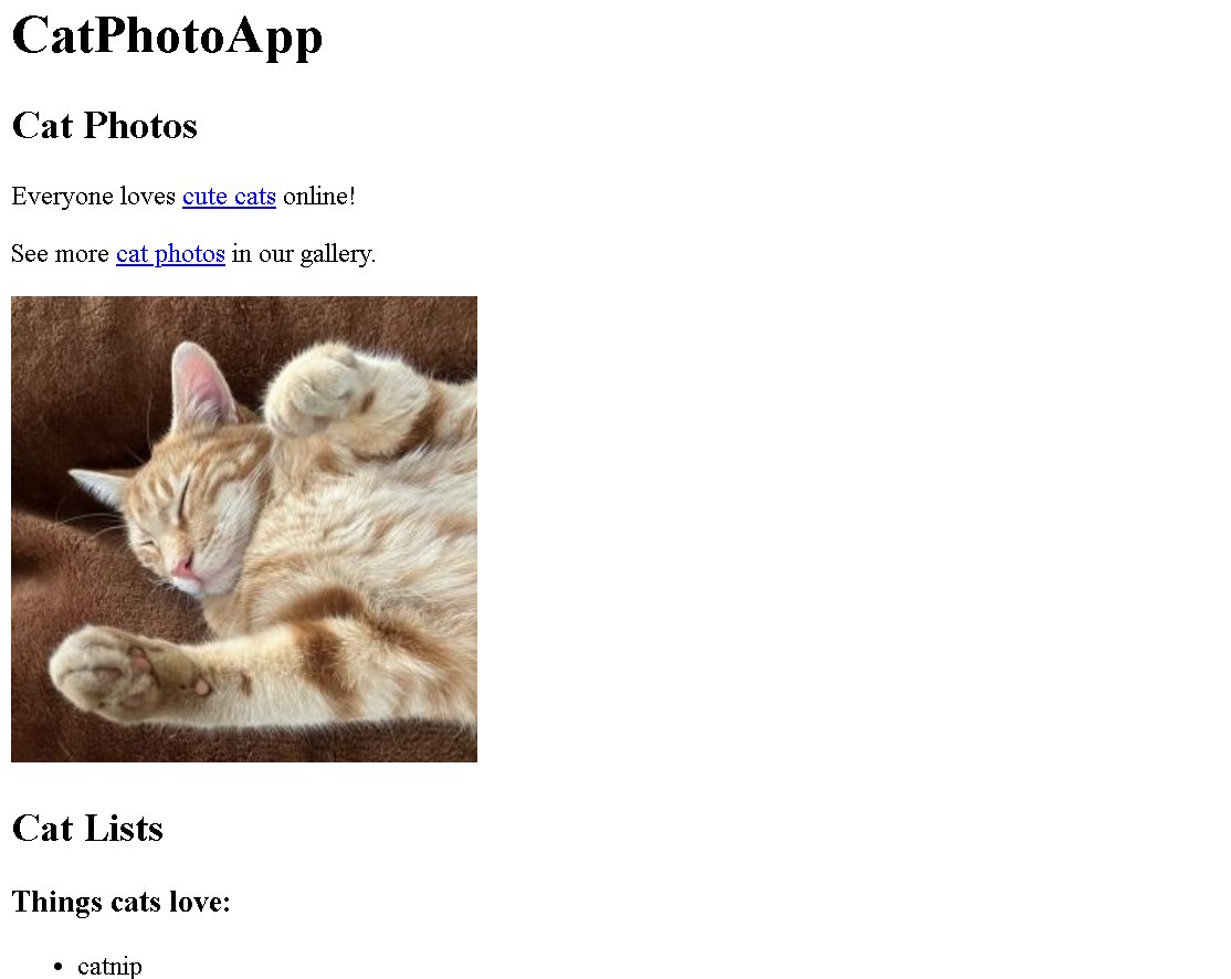 DRex_code's tweet image. I have completed Build a Cat Photo App #freecodecamp
 freecodecamp.org/learn/full-sta…