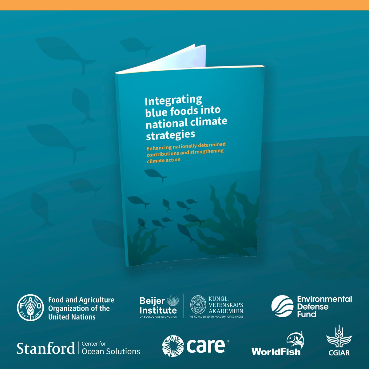 #AquaticFoods’ potential as a climate solution is often overlooked.

This guidance book shows how to integrate them into NDCs &amp; #ClimateStrategies to unlock their mitigation &amp; adaptation benefits.

Read more 👉 openknowledge.fao.org/handle/20.500.…