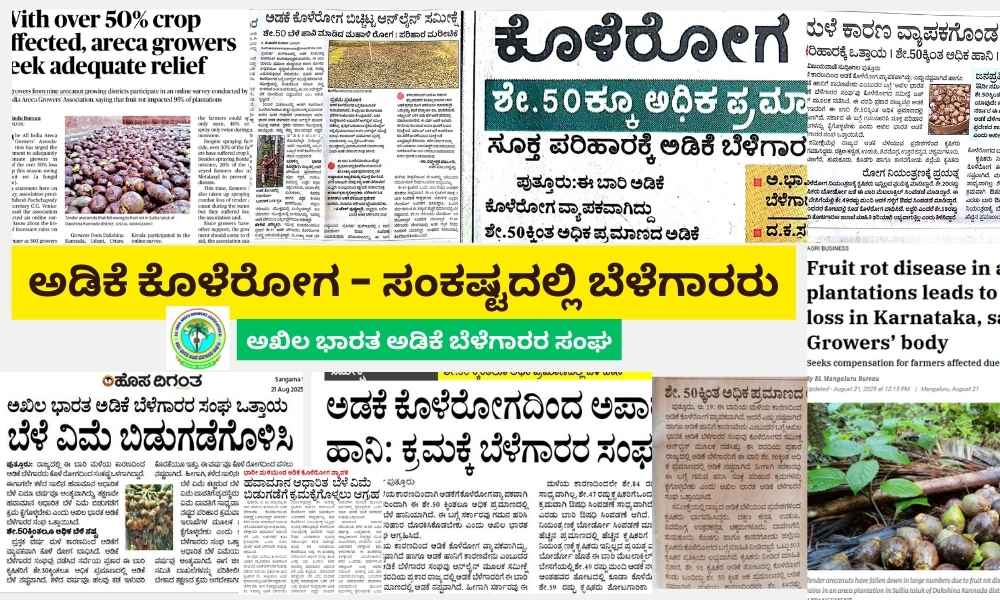 AIAGAssociation's tweet photo. ಕರ್ನಾಟಕದ ಅಡಿಕೆ ಬೆಳೆಗಾರರು ಅತಿಯಾದ ಮಳೆಯಿಂದ ಅಡಿಕೆಗೆ ಕೊಳೆರೋಗ ಬಾಧಿಸಿ ಸಂಕಷ್ಟದಲ್ಲಿದ್ದಾರೆ. ಸರ್ಕಾರವು ಗಮನಹರಿಸಿ, ಕ್ರಮಕೈಗೊಳ್ಳಬೇಕಿದೆ.
#Karnataka https://t.co/Wt19eJNDRg
