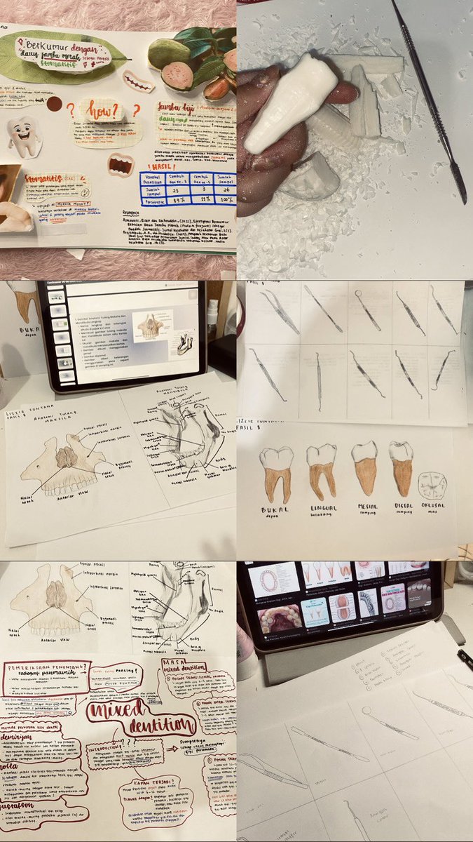 ini recap tugas pkkmb ku kemarin as a dentstud (ASIK)
