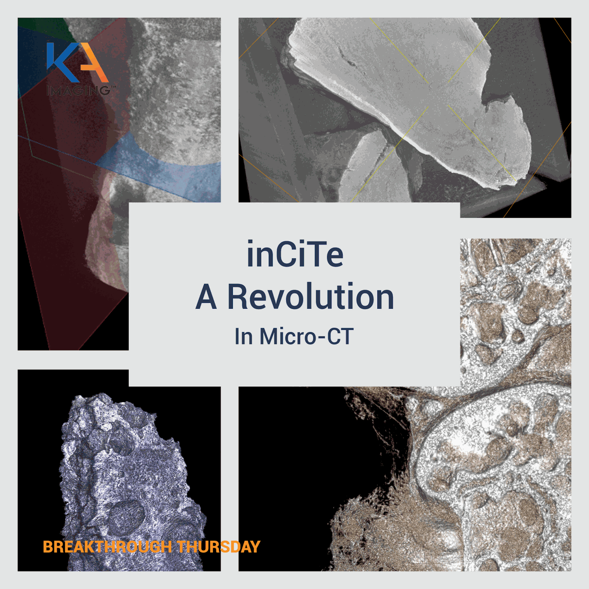 Named for the insights it unlocks and the revolution it incites, inCiTe enables spectral and phase-contrast imaging.

#MicroCT