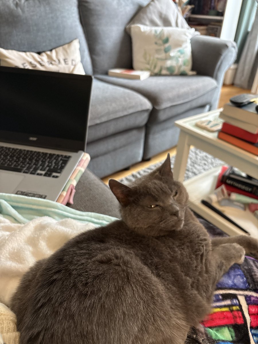 Paradi5eLibrary's tweet image. Anyone else’s pets keep them accountable when writing? 😅

Get back to it hooman… ✍🏻 

I’ve made a spreadsheet to organise my chapters - worked really well for book one so let’s see 🤔

How’s your writing going? 📖 

#WriterTweet #AmWriting #Cats #BookTweet #AuthorTweet