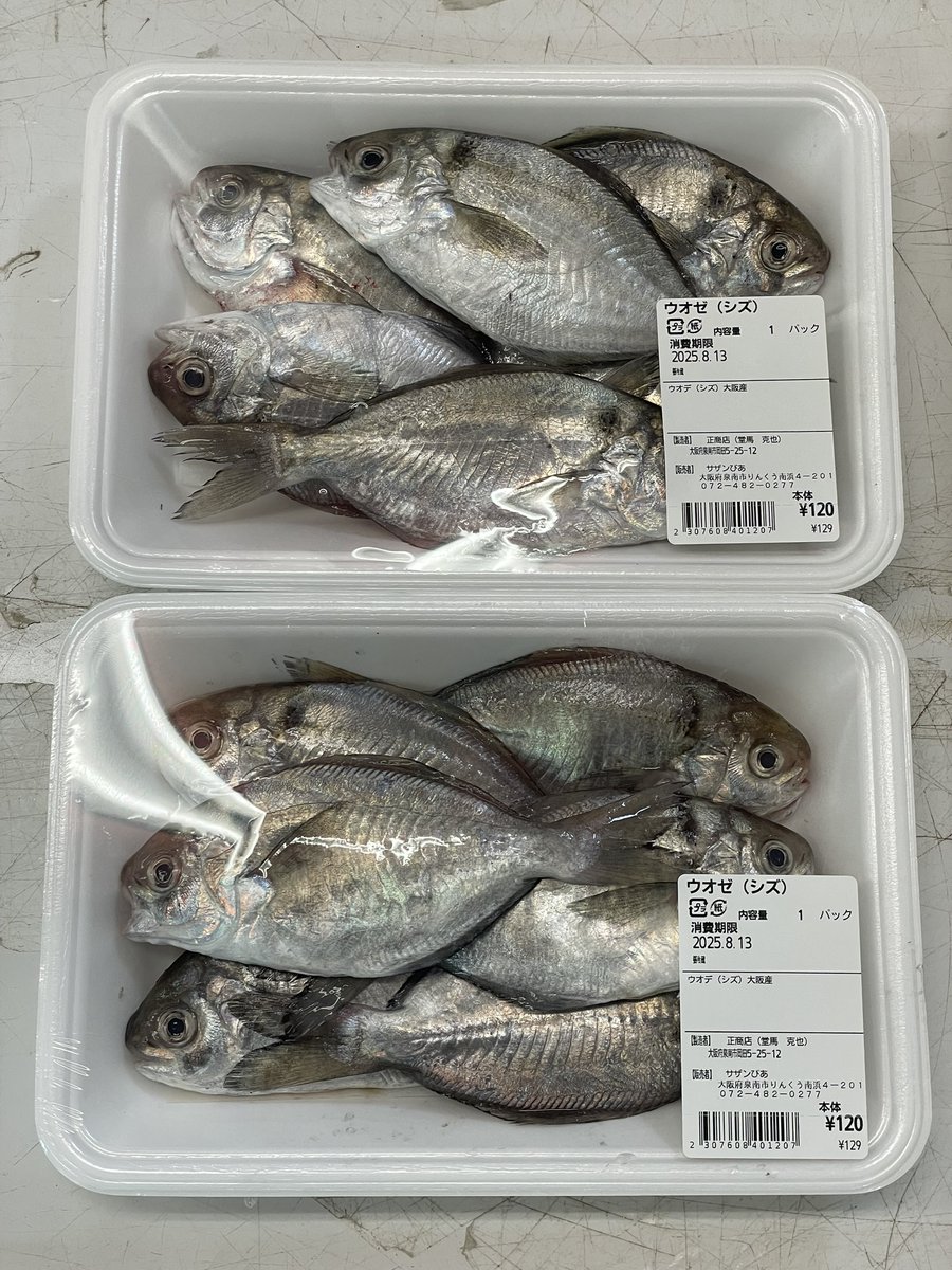 ウオゼ

これは小さい頃から煮魚にされたものを時々食べていた。でも、和歌山での名前は「ウボデ」だったはず....そして気付いてしまった。ザ行とダ行の発音の区別が苦手な和歌山だから「ウオゼ」が「ウボデ」と呼ばれていたんじゃないのか？