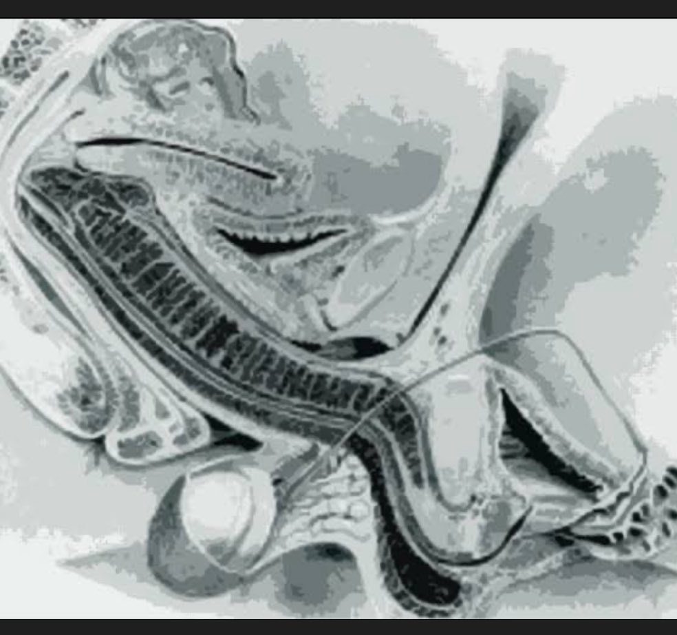 Algún urólogo homosexual en Lima ? 🇵🇪
📸🎥📽️DM🔥💦💦